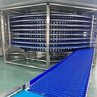 Hygiënische, duurzame, modulaire transportband van voedselveilige kwaliteit voor fruit- en groenteverwerkingslijnen