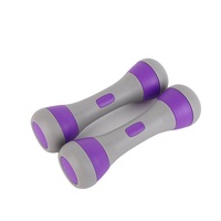 Nouveaux haltères en gros pour femmes, équipement compact de fitness à domicile pour tonifier les bras, poids réglables pour débutants, 2/3/4 kg