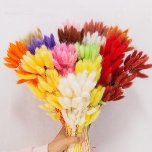Chaque amour en gros 60 pièces/bouquet de couleur naturelle séchée Lagurus Ovatus lapin queues herbe pour la décoration de la maison - Product Image 2