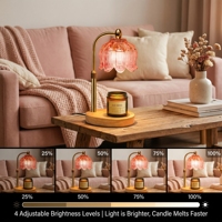 Lampe chauffe-bougie en verre Tulip avec bras en laiton réglable en hauteur, lumière chauffe-bougie sans flamme à intensité variable