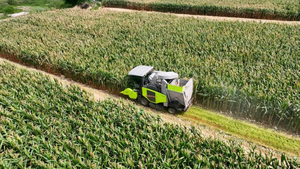 Moissonneuse-batteuse CC40PRO, moissonneuse de maïs <span class=keywords><strong>CC40</strong></span>, machines agricoles avec options à vendre - Product Image 2