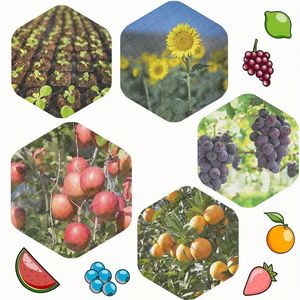 Anti Insectennet Voor Landbouw Broeikasboerderij Insectenbestendig Plastic Netto Beveiligde Gewassen Fruitbescherming Tuinnet Voor Boerderij - Product Image 3