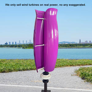 24V tulipán <span class=keywords><strong>300W</strong></span> 500W 1Kw vertical aerogeneradores 2Kw para Europa - Product Image 2