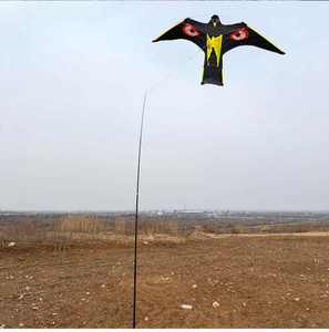 Meilleure vente Agriculture Protect Bird Repeller Scarer Kite produit chinois <span class=keywords><strong>pas</strong></span> <span class=keywords><strong>cher</strong></span> nouveau Scaring Bird Control Hawk Kite - Product Image 2