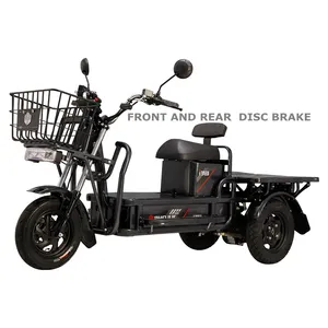 Julong 90 ק"מ ארוך טווח 1500 ואט מנוע 3 גלגל Trike חשמלי מטען, חשמלי קטנוע Trike עבור משלוח