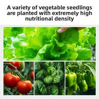 Système de culture hydroponique verticale intelligent pour légumes, culture hors-sol, multi-niveaux, pour usage domestique, pour la culture de semis