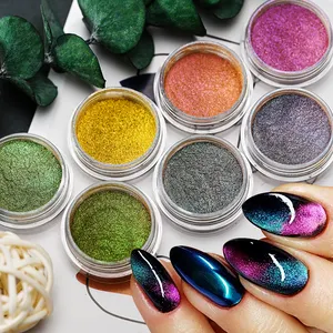 1 scatola Sparkly Cat EYE polvere magnetica Nail Chrome 3D camaleonte magnete polvere pigmento Laser Glitter UV Gel Polish fai da te Manicure Decor