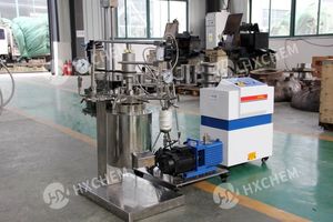 Réacteurs de laboratoire automatiques bibo avec pompe à vide et compresseur d'air, dotés d'un moteur de réaction central et d'un récipient de cuisson - Product Image 3