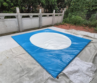 Costume de sumo Astérix et Obélix avec tapis pour adultes, vente en gros de lutte de sumo, fabricants de lutte de sumo