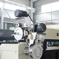Machine de granulation plastique, équipement de recyclage industriel pour la production de granulés pour le traitement des polymères