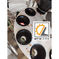 Machine de pesage et de remplissage multi-têtes automatique MTW pour les noix, les céréales, le sel, les assaisonnements et les poudres sèches