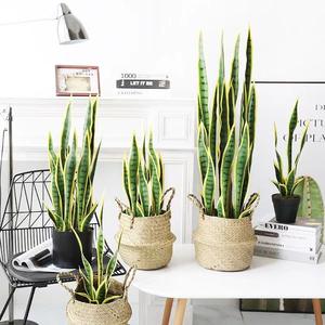<span class=keywords><strong>Planta</strong></span> <span class=keywords><strong>Artificial</strong></span> Realista <span class=keywords><strong>de</strong></span> Plástico con Borde Amarillo, Sansevieria <span class=keywords><strong>Artificial</strong></span> sin Mantenimiento para Decoración <span class=keywords><strong>de</strong></span> Jardín y Paisaje - Product Image 2