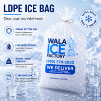 Sacs à glaçons en plastique LDPE transparents avec logo personnalisé, directement de l'usine, pour l'emballage des glaçons