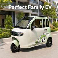 Tricycle électrique à batterie lithium longue portée, 3 roues, pour adultes, pour les trajets en ville et le transport urbain