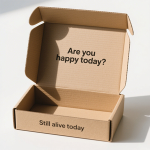 Máy bay phong cách Phân hủy sinh học sóng giấy bưu phẩm vận chuyển Hộp quà tặng tùy chỉnh bao bì sản phẩm Kraft hộp với nắp có bản lề - Product Image 1