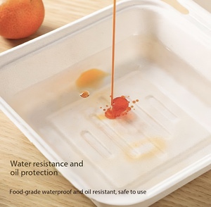 Dùng Một Lần Takeaway 3 Phần Chia Thực Phẩm Container 100% Có Thể Tái Chế Phân Hủy Sinh Học Và Compostable Đồ Dùng Đường Mía Bã Mía - Product Image 6