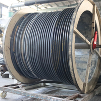 Conexiones de Prensado para Mangueras Hidráulicas de Acero Inoxidable de Alta Calidad y Alta Presión, Métricas, BSP, JIC, NPT