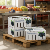 Boîte d'expédition ventilée personnalisée pour myrtilles avec trous d'aération, emballage en carton ondulé pour le transport de fruits frais