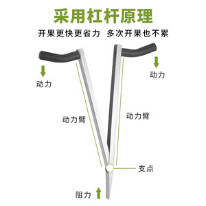 Stainless Steel Jackfruit <b>Splitter</b> Fruit Opener Core Extractor Tool 1-Pack - Product Image 2