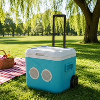Glacière portable moderne de 52 L, grande capacité, réutilisable, étanche, avec haut-parleur, pour le camping, la pêche, les pique-niques, la plage, avec poignée