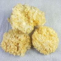 Hongo de Nieve Seco Natural para Niños, Comida Saludable sin Sabor, Empaquetado a Granel 1kg por Anhui Fuli Hall