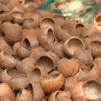 Großhandel Heim-Duft-Diffusor Luftfrischer Kokosnussschale Kerzenbehälter für Zuhause