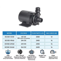 Bomba de Agua Sumergible DC Sin Escobillas ZKSJ DC55E 12V 24V 2400L/H 12M de Altura de Elevación IP68 para Riego Agrícola Solar y Fuentes ODM OEM