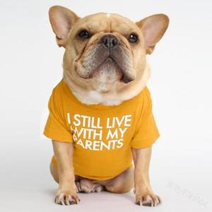 Camiseta Clásica LY <span class=keywords><strong>de</strong></span> Algodón Anti-Rasguños para <span class=keywords><strong>Perros</strong></span>, Ligera, para Verano, Lavable, para Bulldog Francés y <span class=keywords><strong>Shar</strong></span> <span class=keywords><strong>Pei</strong></span>, para <span class=keywords><strong>Perros</strong></span> Sensibles - Product Image 6