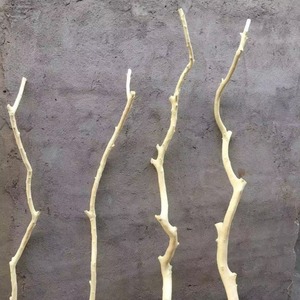 Branches d'arbre artificielles blanches Dream Castle, branches sèches simulées pour décoration de vase, fourchettes en bois artistiques - Product Image 1
