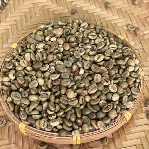 Coffee <b>Bean</b> Robusta Green Size 16 100% Raw Coffee <b>Beans</b> Use in Industrial Coffee Roasting 95% Maturity Jute <b>Bag</b> - Product Image 5