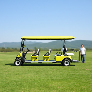 Popular 2 Seats Electric Golf Cart