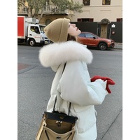 Manteau d'hiver long en duvet pour femme, col montant, blanc, vente en gros d'usine, vêtements d'hiver pour femmes