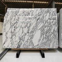 Dalle de marbre blanc Arabescato naturel avec veines grises pour projets de murs de hall, salles de bain et salles à manger