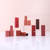 Stock DIY probe rohre mini nette platz kunststoff bunte matte braun rot lippenstift rohr leeren lippenstift verpackung niedrigen moq