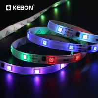 Prix de gros Smd 5050 chambre décor Flexible Dmx Rgb lumière néon rétro-éclairage 11w Dc 12v Led bande