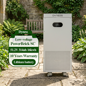 Batterie LiFePO4 Dyness PowerBrick SC 16,076 kWh 51,2 V 314 Ah, alimentation directe usine, 50 parallèles, pour stockage d'énergie solaire domestique - Product Image 1
