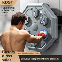 Équipement d'entraînement de boxe électronique intelligent KDST Home avec cible murale et sac de sable Modèle 1508 Gris