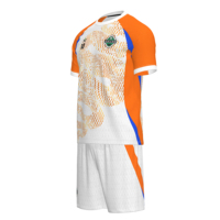 Venta al por Mayor de Camisetas de Fútbol Retro de Verano, 100% Poliéster, Nombre y Números del Equipo Personalizados, Logotipo Termotransferible Delantero/Trasero, Unisex, Manga Corta