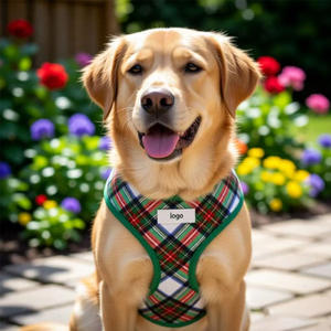 클래식하고 내구성 있는 녹색 체크무늬 패션 강아지 하네스 & 리드 스카프 포함 - 소형견부터 대형견 및 고양이까지 사용 가능한 노풀 디자인 - Product Image 2