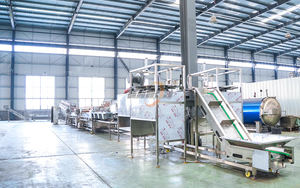 Machines de traitement du chou : <span class=keywords><strong>Coupe</strong></span>-chou à taille réglable, Ligne de lavage et d'épluchage du chou - Product Image 3