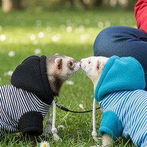 Polyester Ferret Clothing with Leash Outdoor Warm <b>Hoodie</b> & Coat <b>for</b> Pet Ferrets - Product Image 2