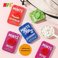 Fabricant de bonbons à la menthe de qualité supérieure | Étiquette privée personnalisée et approvisionnement en vrac | Usine certifiée ISO/BRC