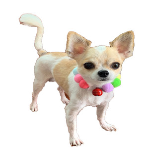Pet decoration hair ball cat popular collar necklace elastic collar pom pom high elastic cat collar