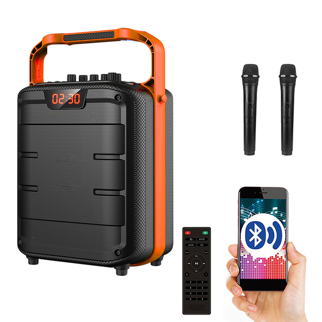 1000W High Power Stereo Sound Portable Blue Tooth Party Speaker with Big Subwoofer, LED Lights, Wireless Microphone, USB/TF/FM