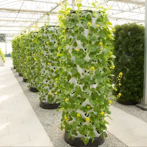 Nhà Kính nông nghiệp tháp vườn dọc tháp thủy canh thủy canh tháp vườn aeroponic phát triển hệ thống