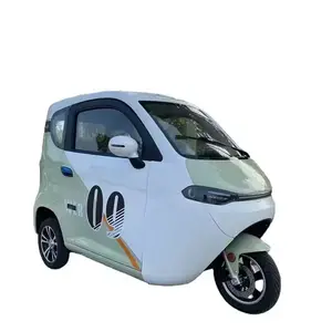 Xiangyuan EEC 품질 좋은 가격과 최고의 성능 3 륜 전기 자동차 2000W E 모터 전기 완전 동봉 세발 자전거