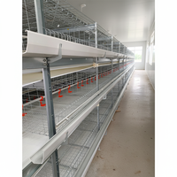 Nouvel équipement de cage à poulets de chair en fil galvanisé en H pour plus de 50 000 poulets, grande cage automatique pour ferme avicole