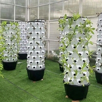 Tour hydroponique verticale pour ananas, système aéroponique à trous, pour culture intérieure