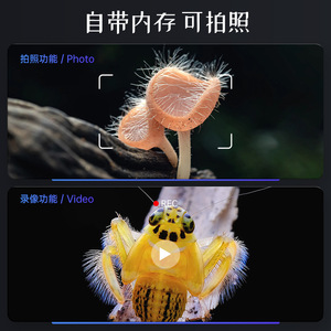 Digital Microscope 4.3 Inch Hd Screen 1000x Magnification 200w Pixels Laboratory Grade Electronic Use - Product Image 5