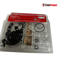 Kits de réparation de moteur Holset Wh80099